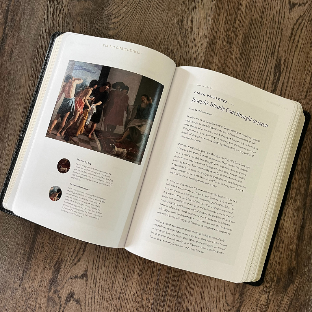 The Word On Fire Bible The Pentateuch The Word On Fire Bible The Pentateuch